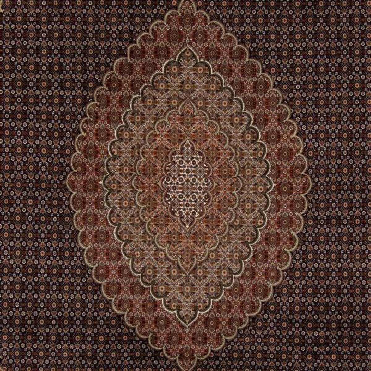 Tapis persan - Tabriz - 346 x 252 cm - marron