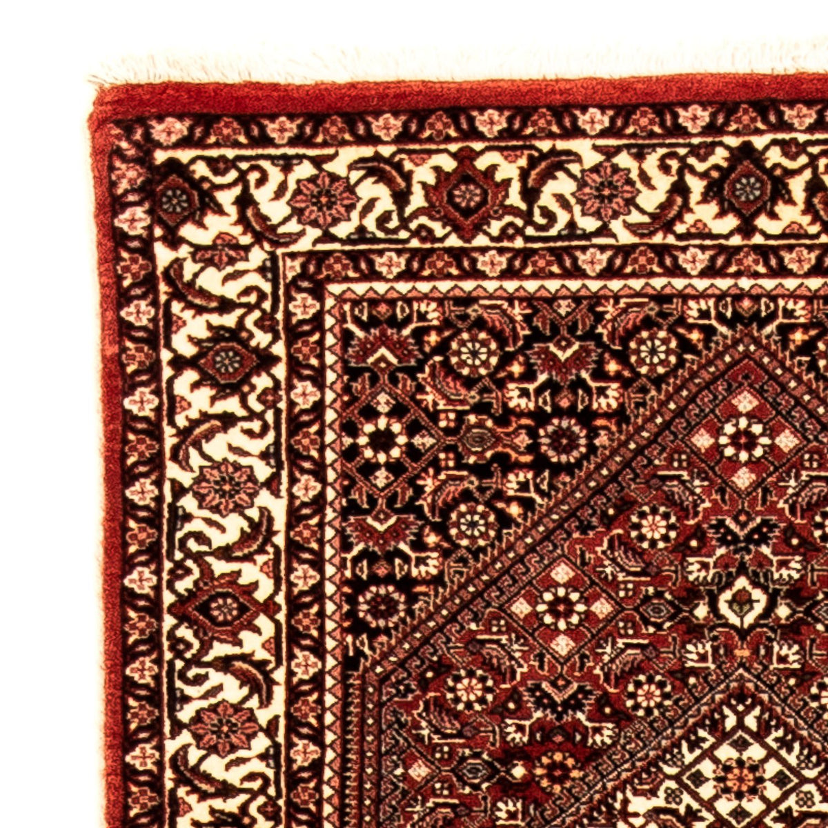 Tapis de couloir Tapis persan - Bidjar - 307 x 73 cm - multicolore