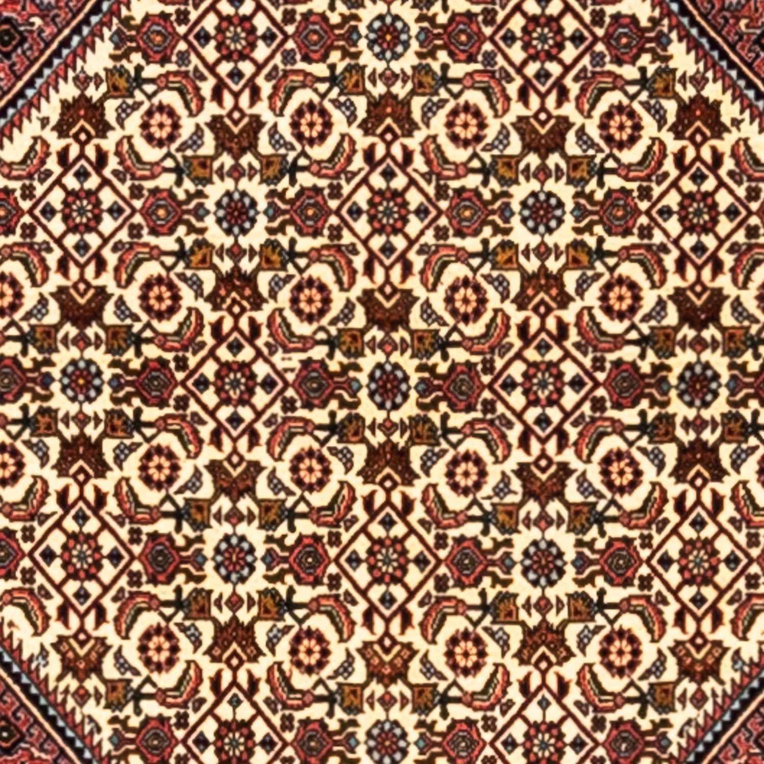 Tapis persan - Bidjar - 291 x 200 cm - rouge