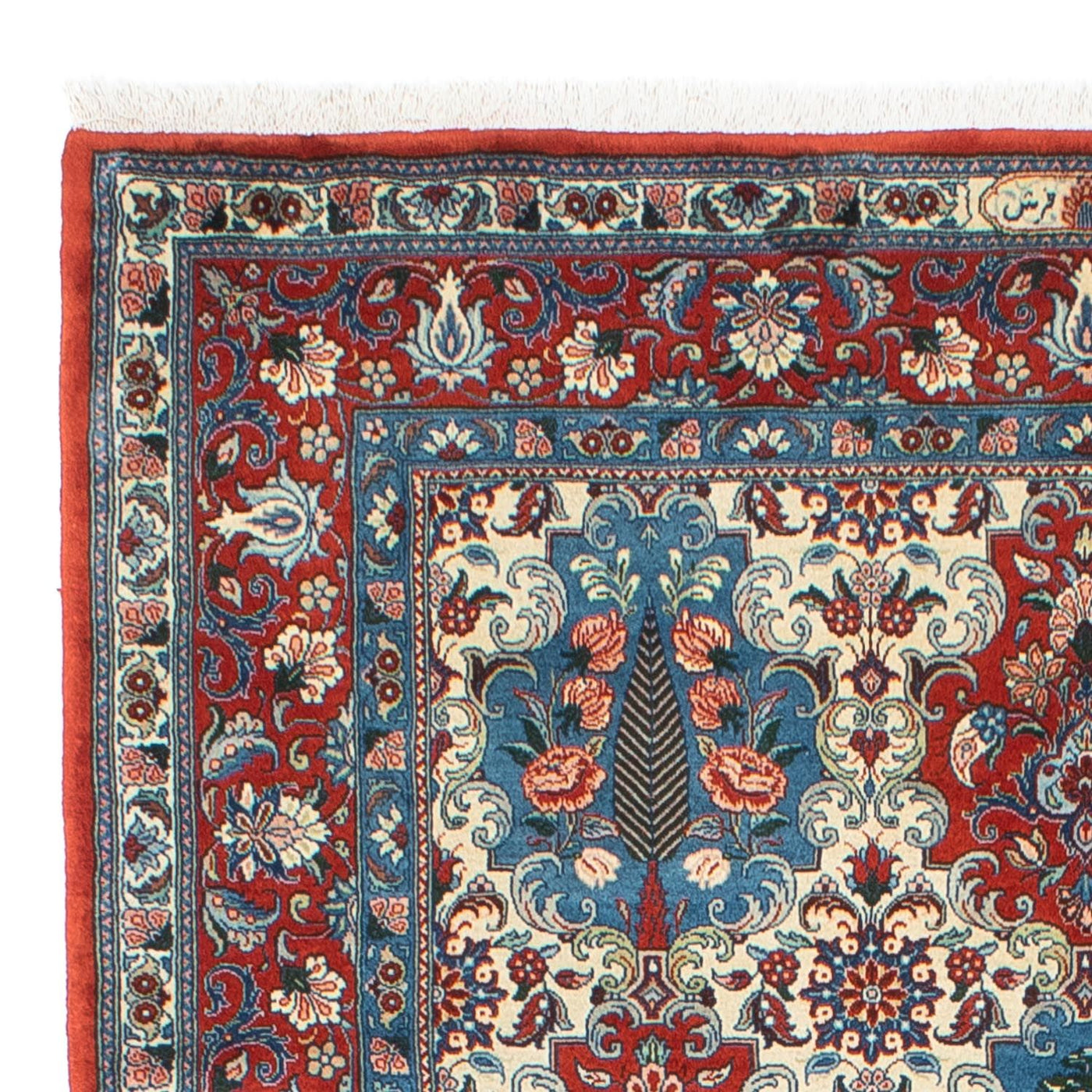Tapis Bakhtiari Tapis 281x175cm - Tapis persan