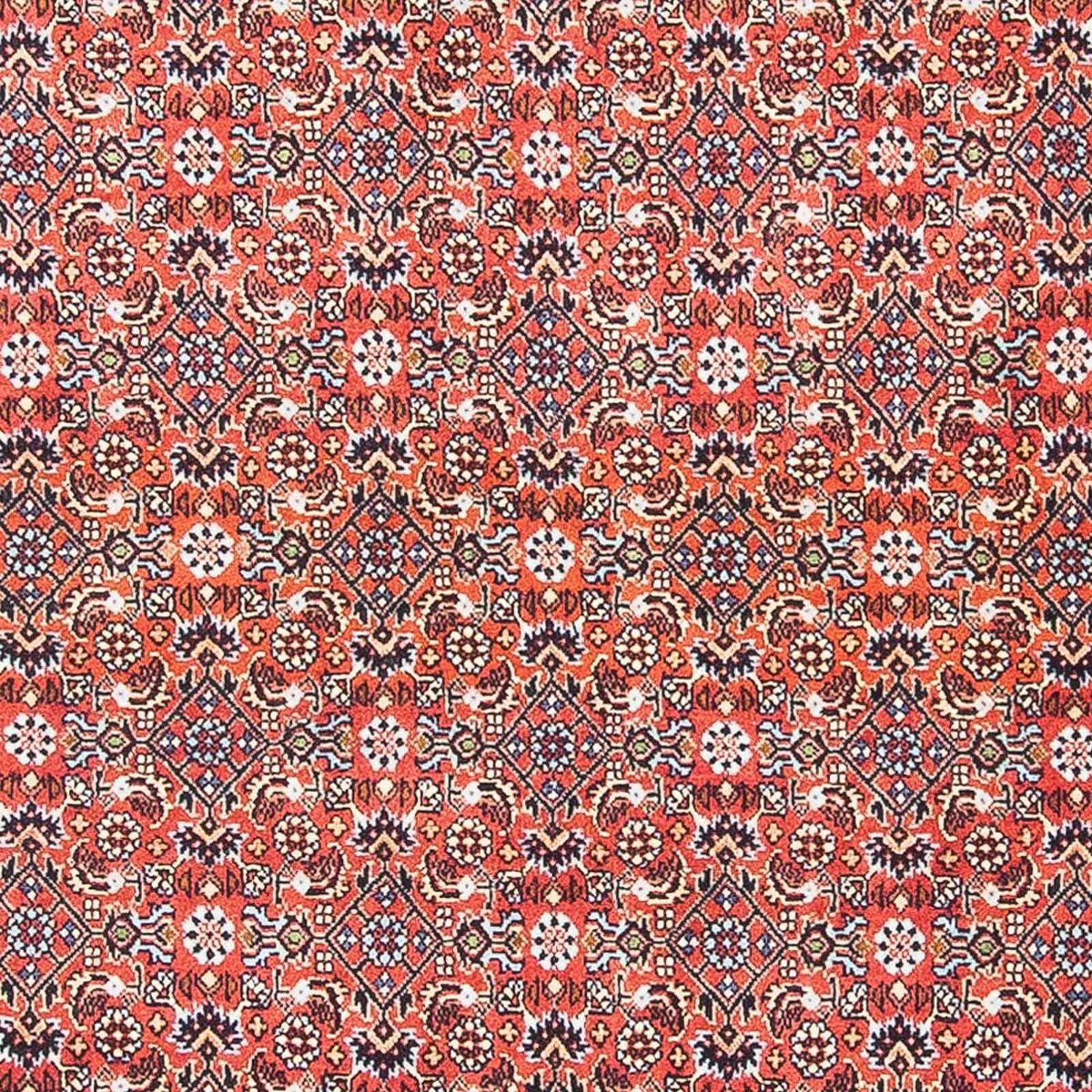 Tapis persan - Bidjar - 137 x 96 cm - rouge foncé
