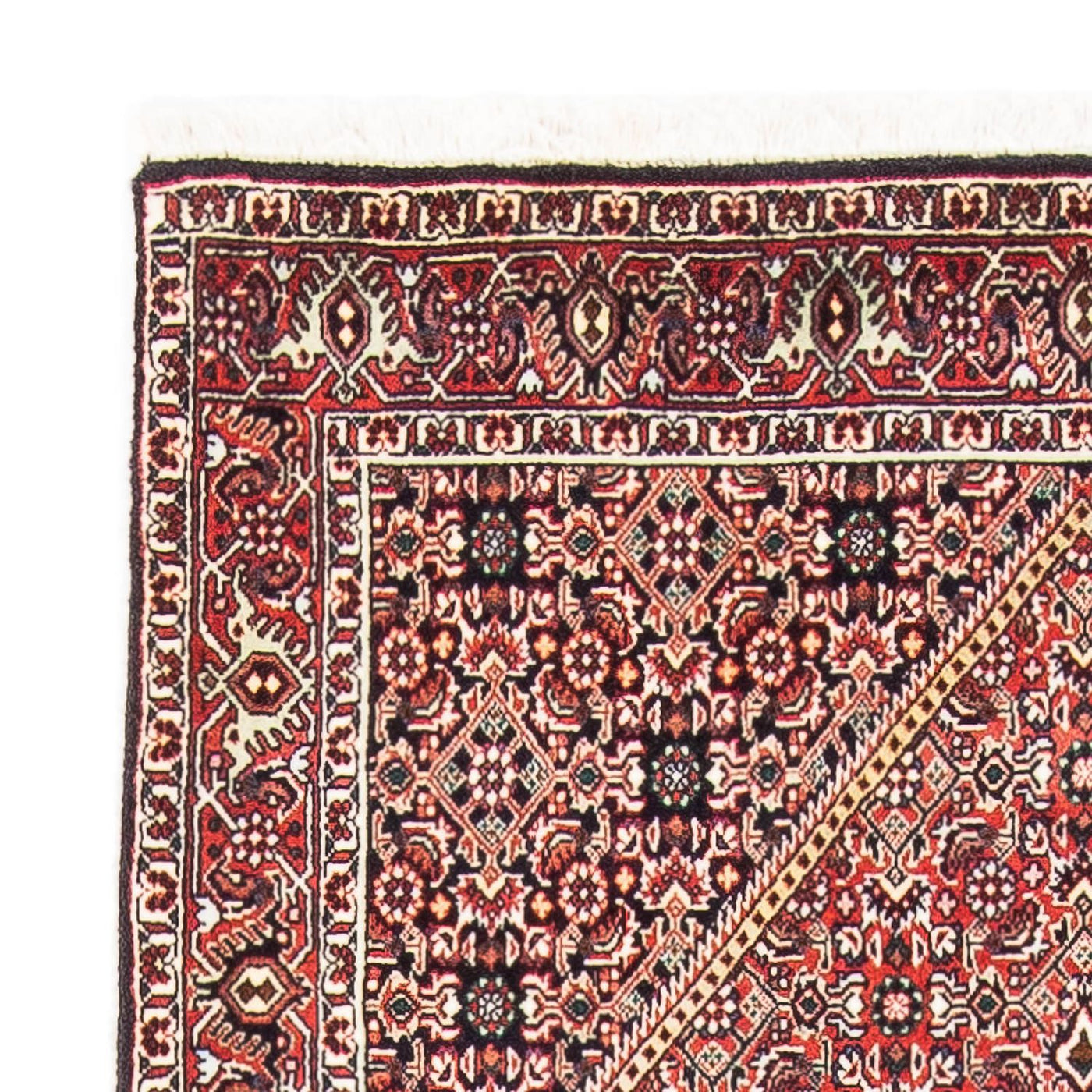 Tapis de Bidjar Tapis 145x88cm - Tapis persan