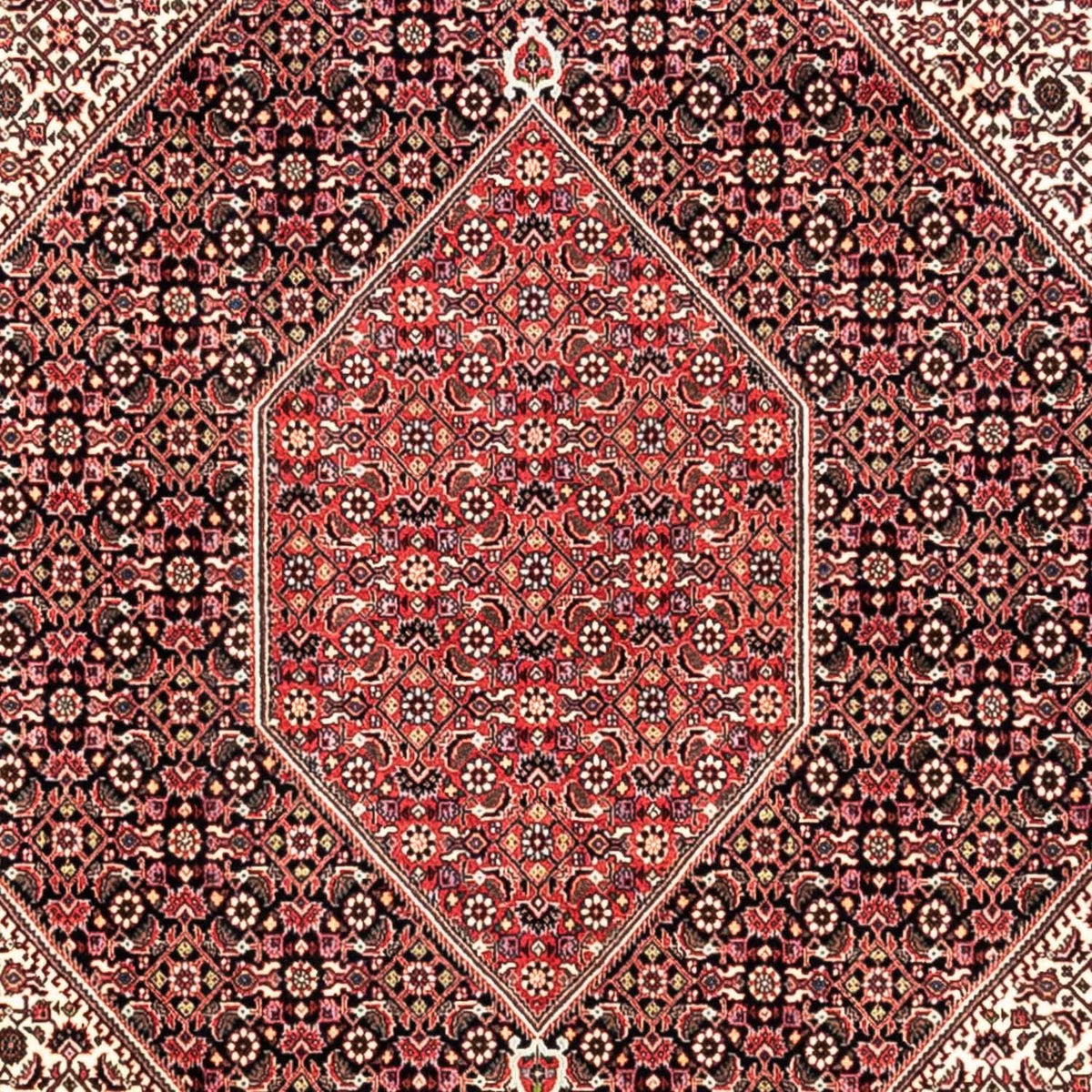 Tapis persan - Bidjar - 349 x 252 cm - rouge