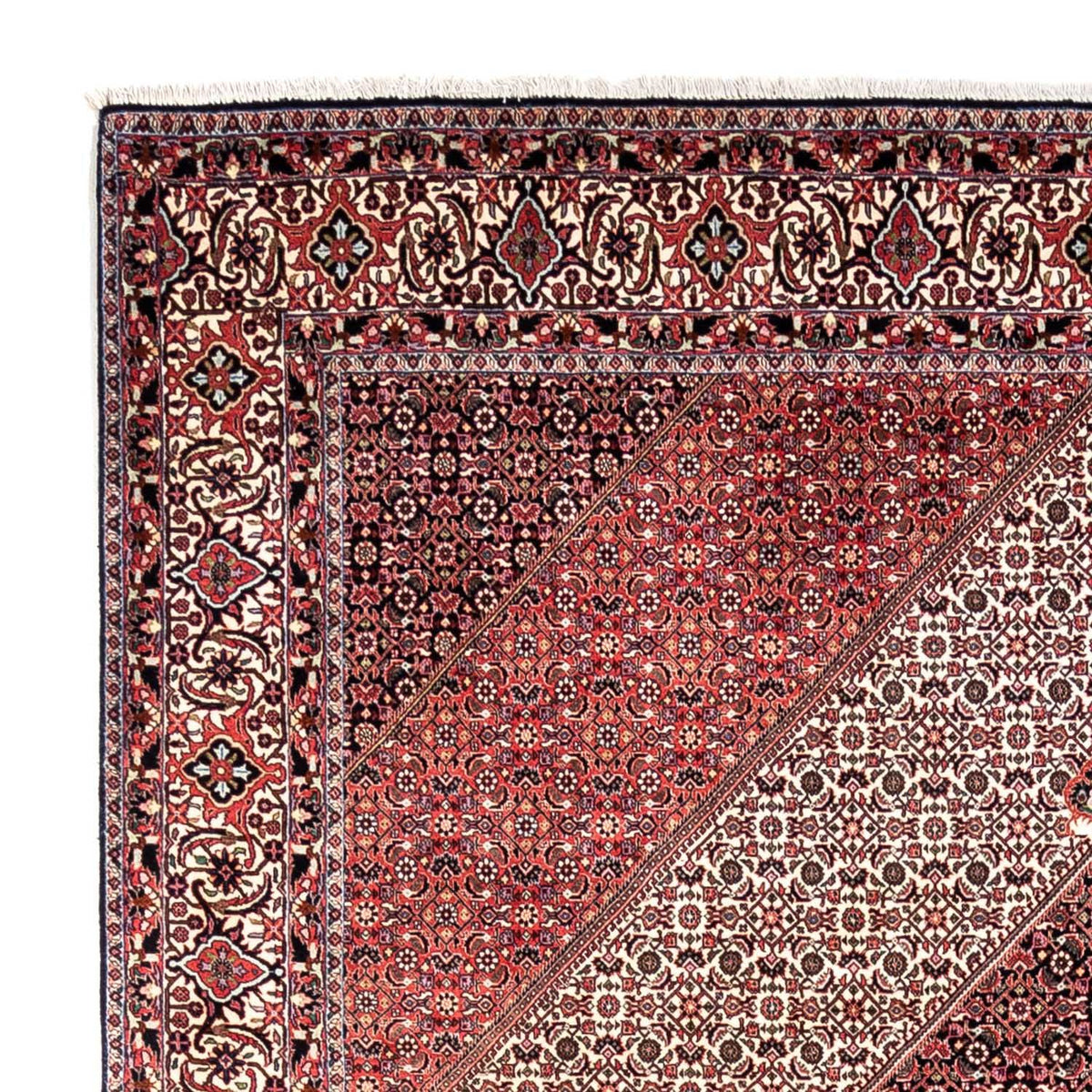 Bidjar - Takab Tapis 252x349cm - Tapis persan