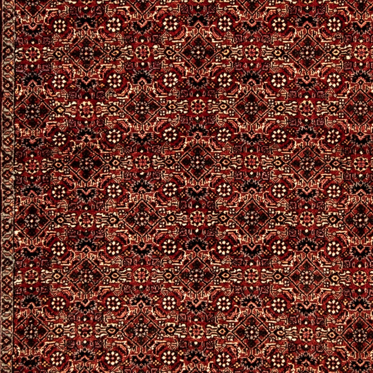 Tapis de couloir Tapis persan - Bidjar - 305 x 86 cm - multicolore