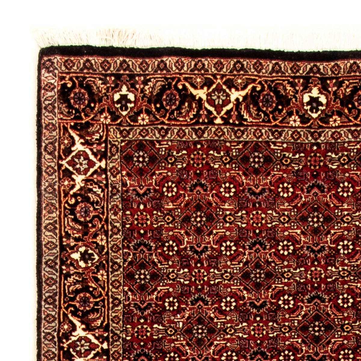 Tapis de couloir Tapis persan - Bidjar - 305 x 86 cm - multicolore