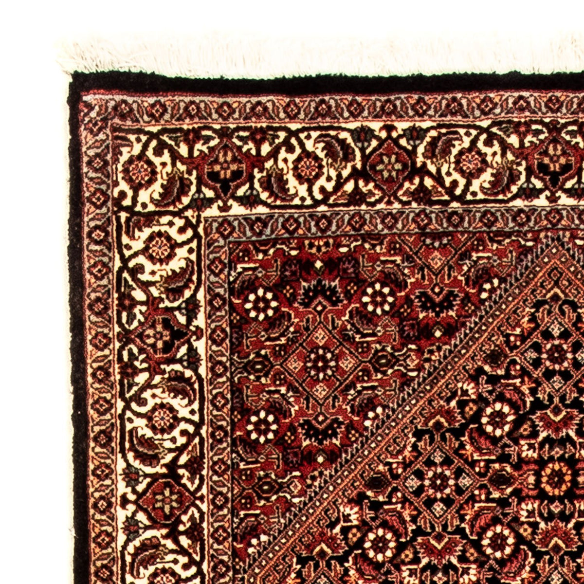 Tapis de couloir Tapis persan - Bidjar - 310 x 83 cm - multicolore