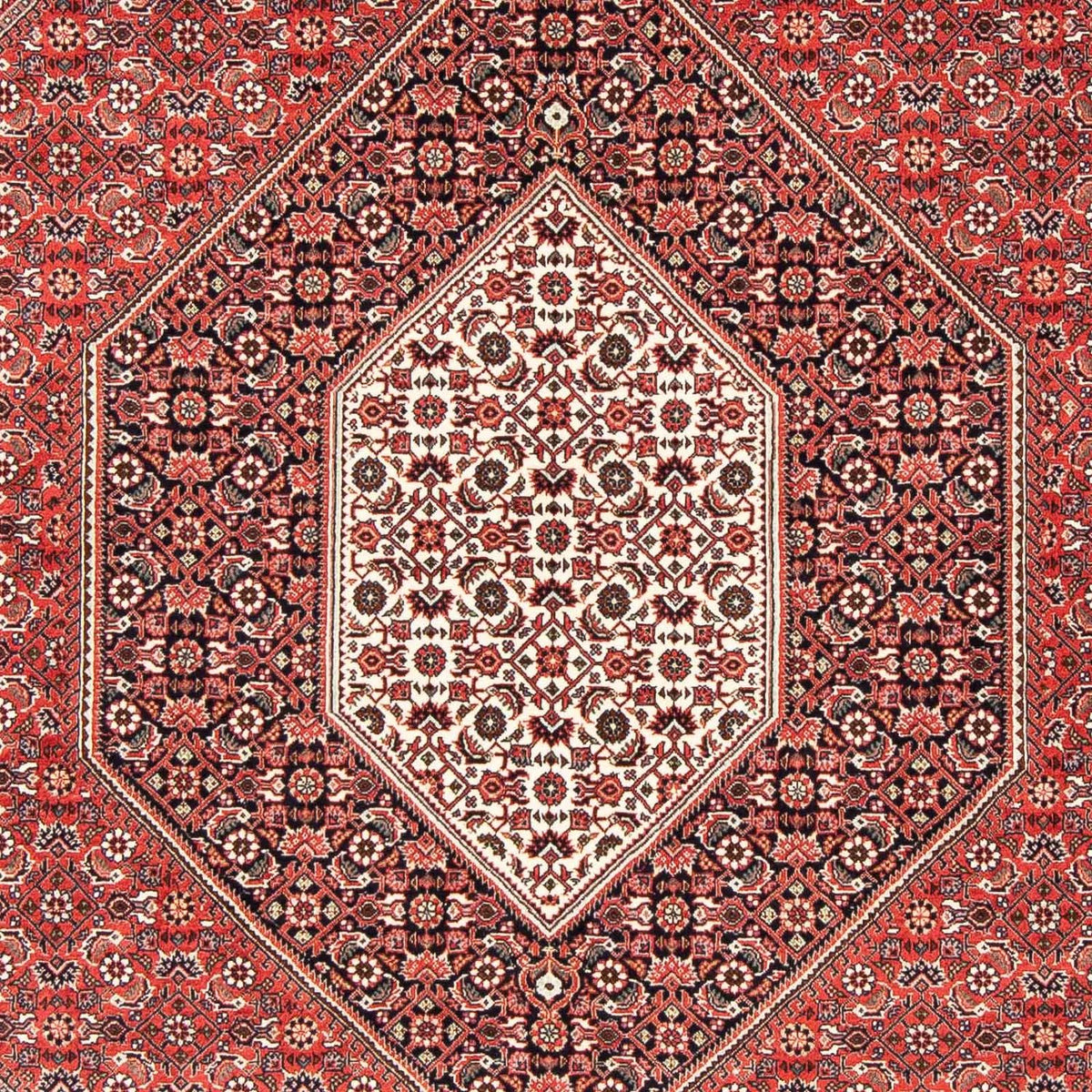 Tapis persan - Bidjar - 251 x 170 cm - rouge clair