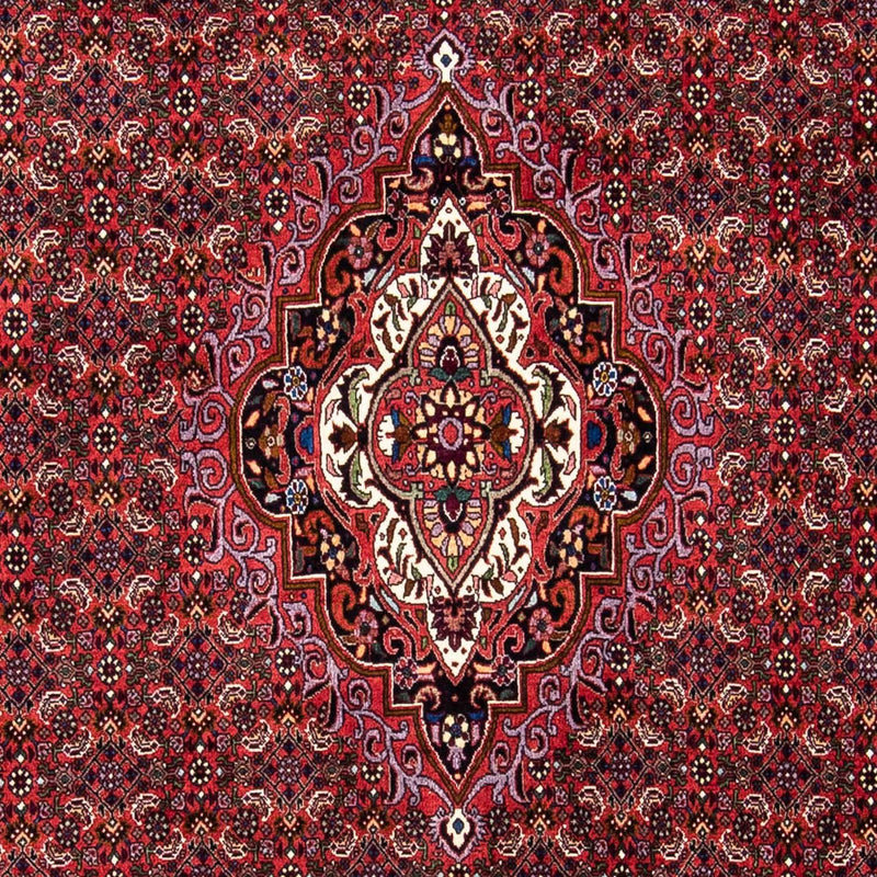 Tapis persan - Bidjar - 241 x 172 cm - rouge foncé