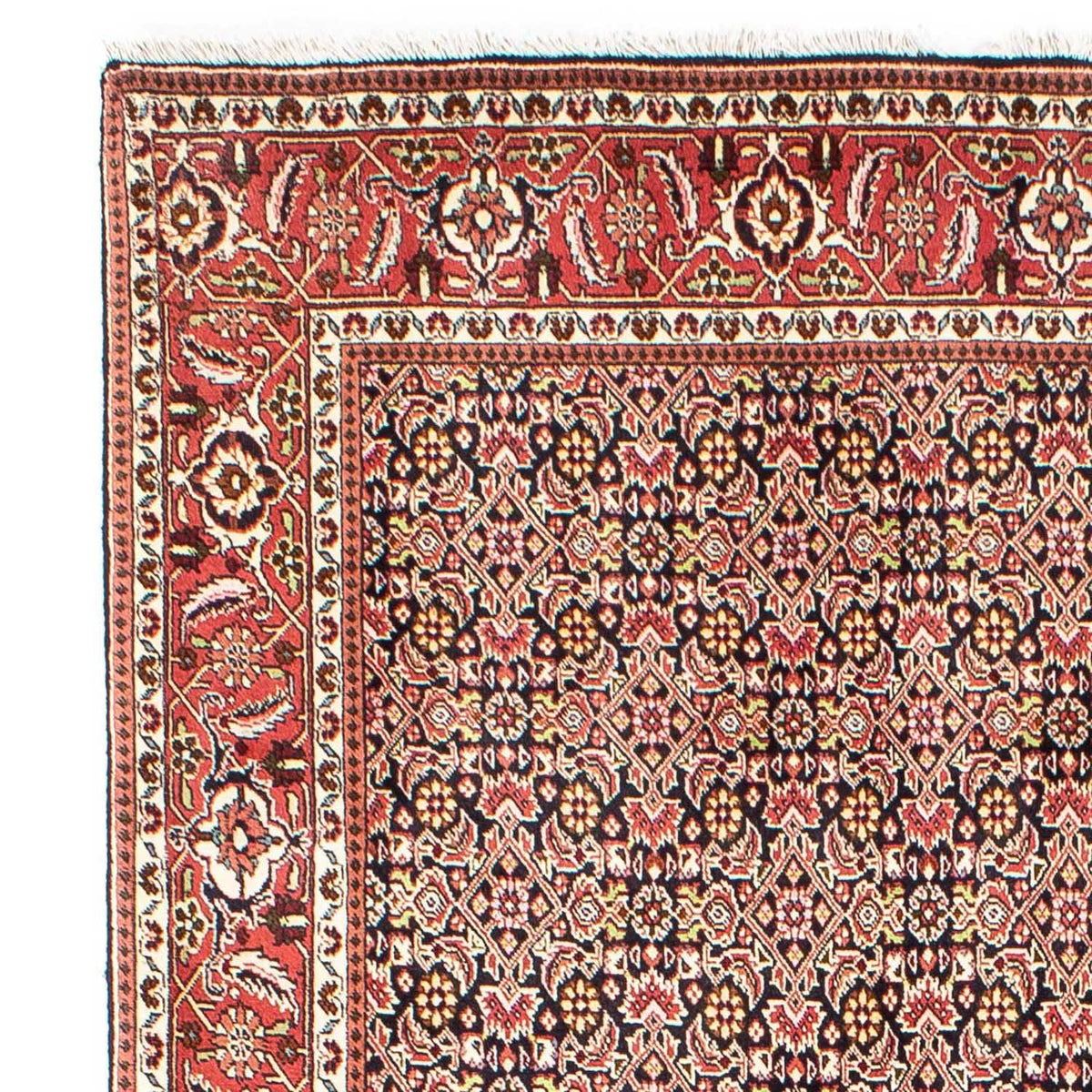 Tapis persan - Bidjar - 252 x 173 cm - rouge clair