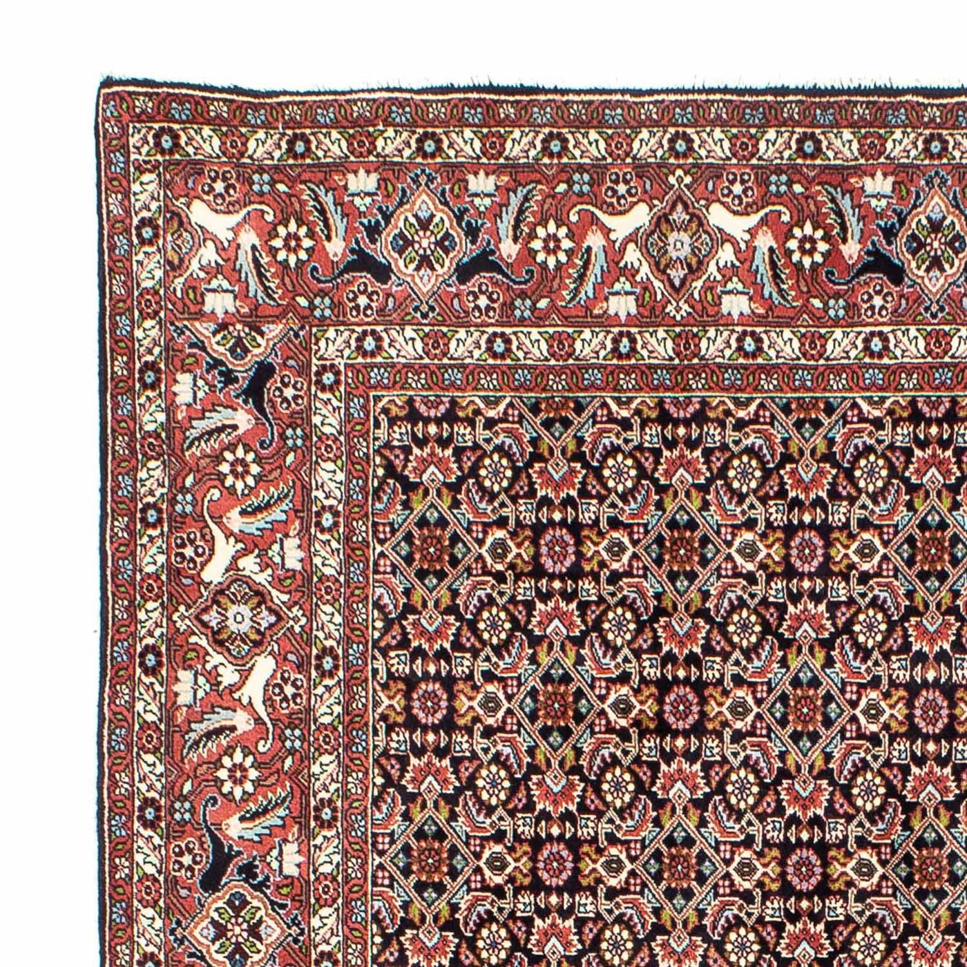 Tapis de Bidjar Tapis 248x173cm - Tapis persan
