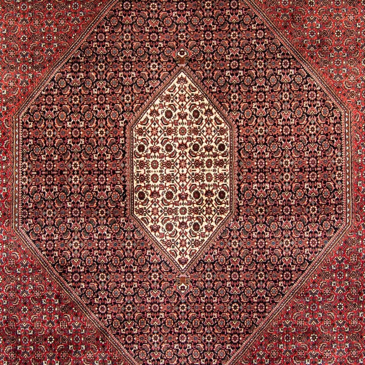 Tapis persan - Bidjar - 382 x 249 cm - rouge foncé