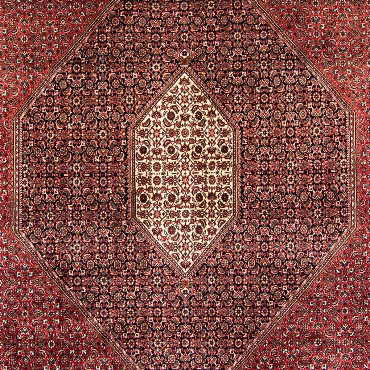 Tapis persan - Bidjar - 382 x 249 cm - rouge foncé