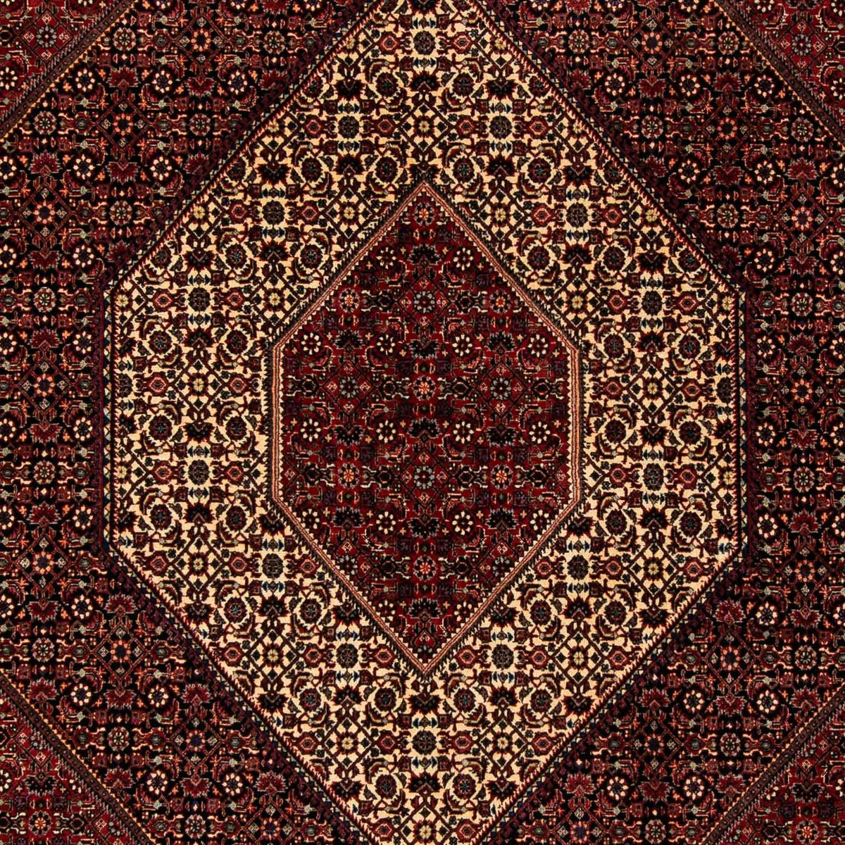 Tapis persan - Bidjar - 255 x 205 cm - rouge foncé