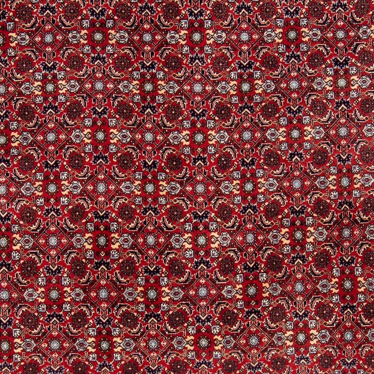 Tapis persan - Bidjar - 251 x 175 cm - rouge