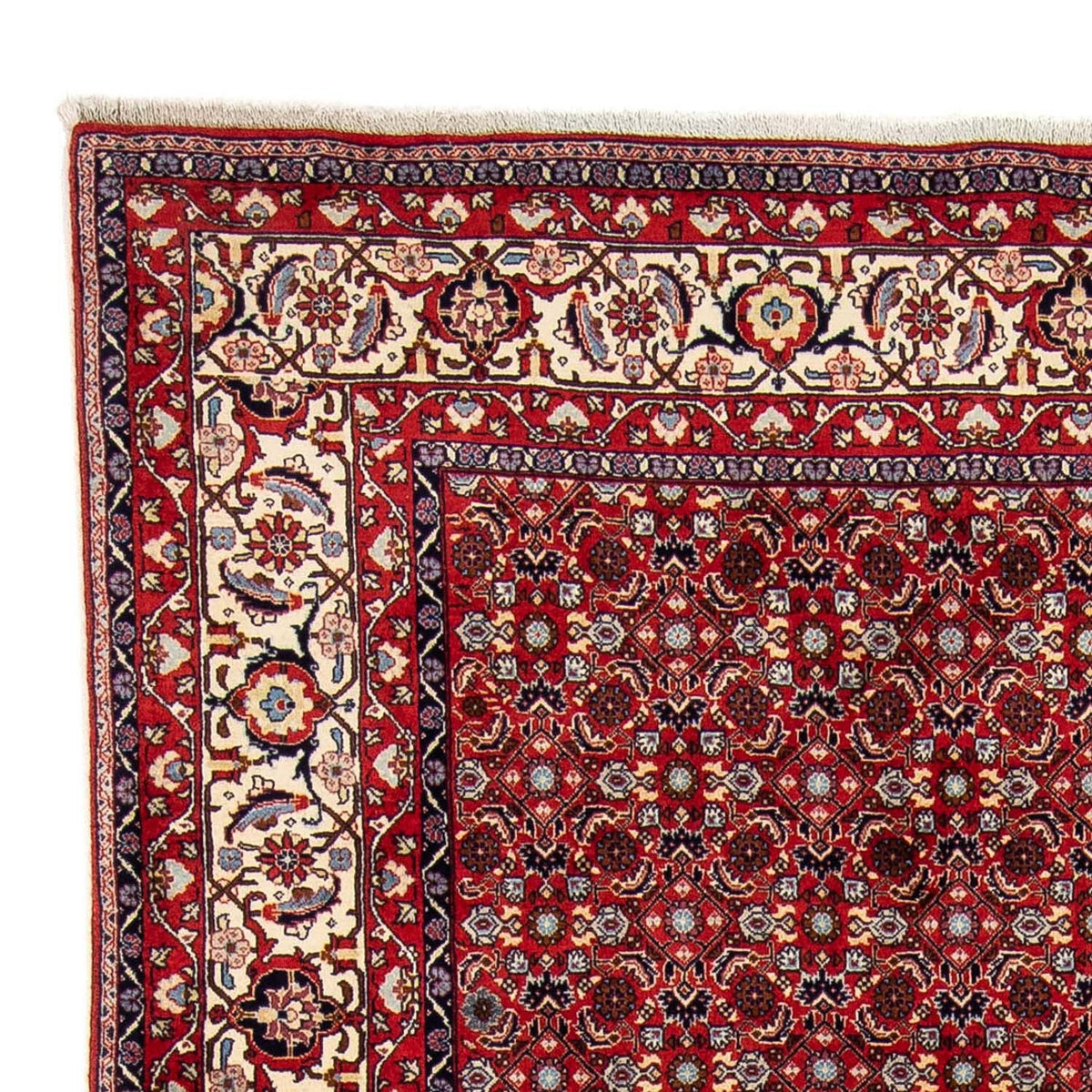 Tapis persan - Bidjar - 251 x 175 cm - rouge