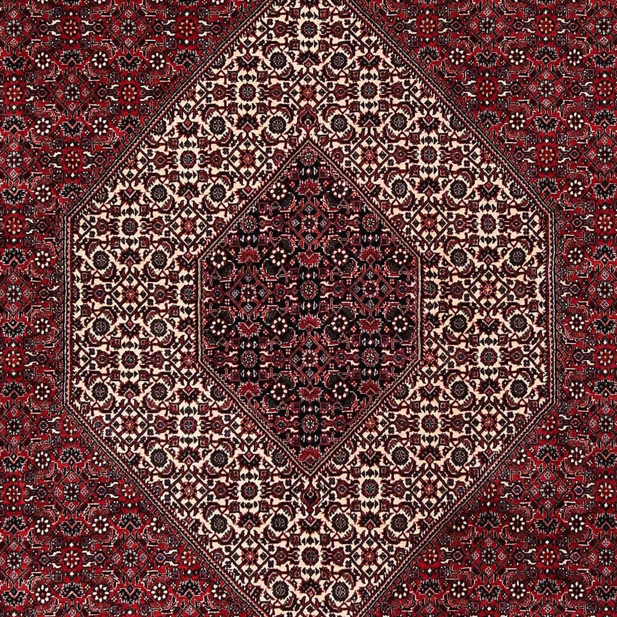 Tapis persan - Bidjar - 252 x 203 cm - rouge foncé