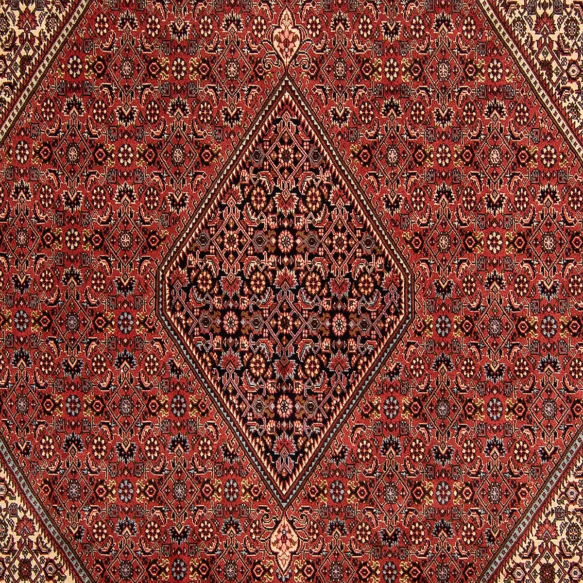 Tapis persan - Bidjar - 343 x 250 cm - rouge foncé