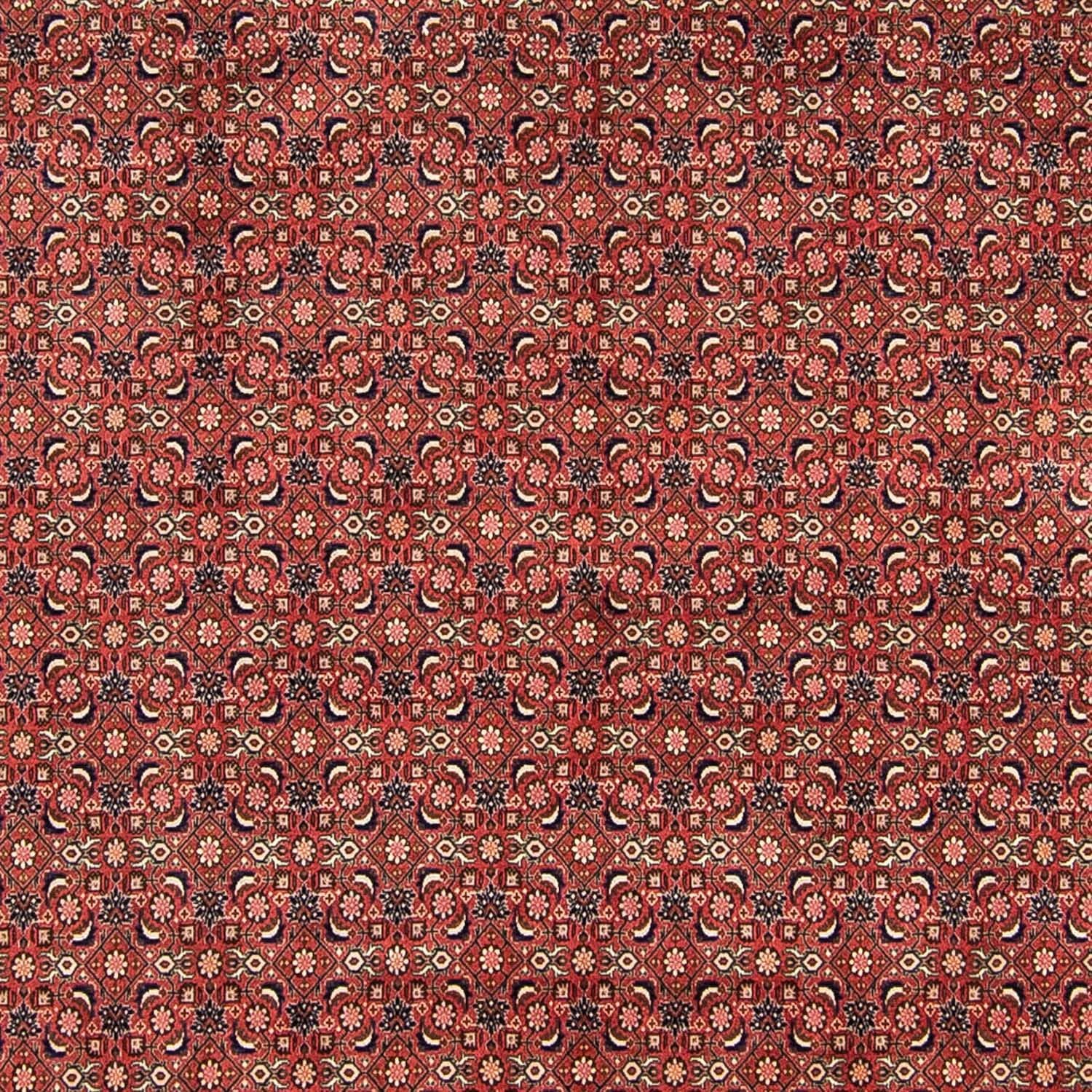Tapis persan - Bidjar - 316 x 252 cm - rouge