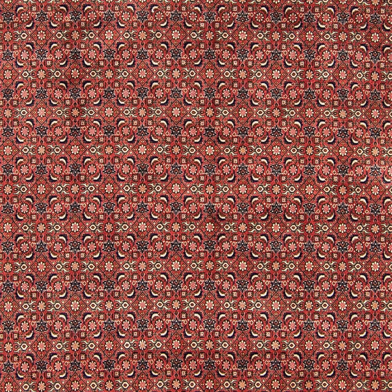 Tapis persan - Bidjar - 316 x 252 cm - rouge