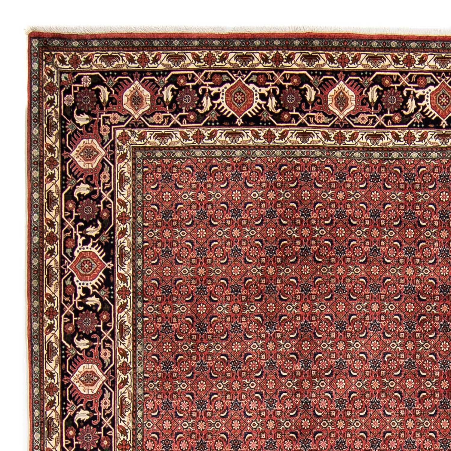 Tapis persan - Bidjar - 316 x 252 cm - rouge