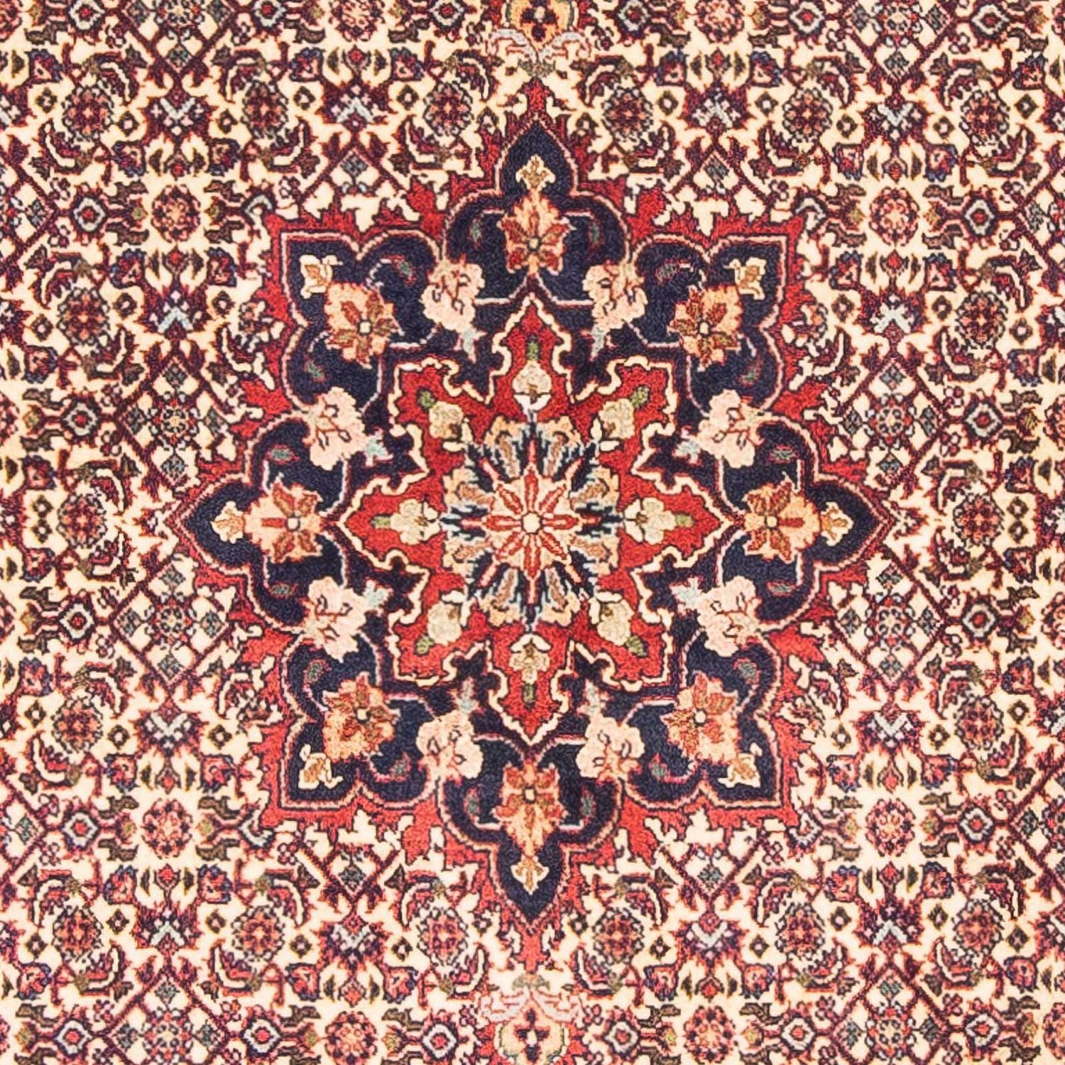Tapis persan - Bidjar - 151 x 88 cm - beige