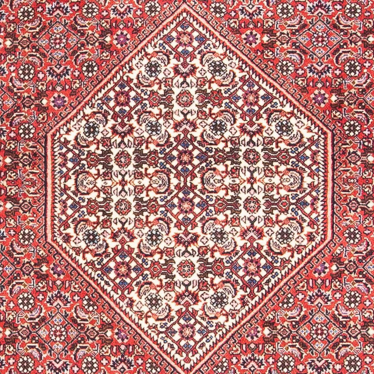 Tapis persan - Bidjar - 154 x 87 cm - rouge