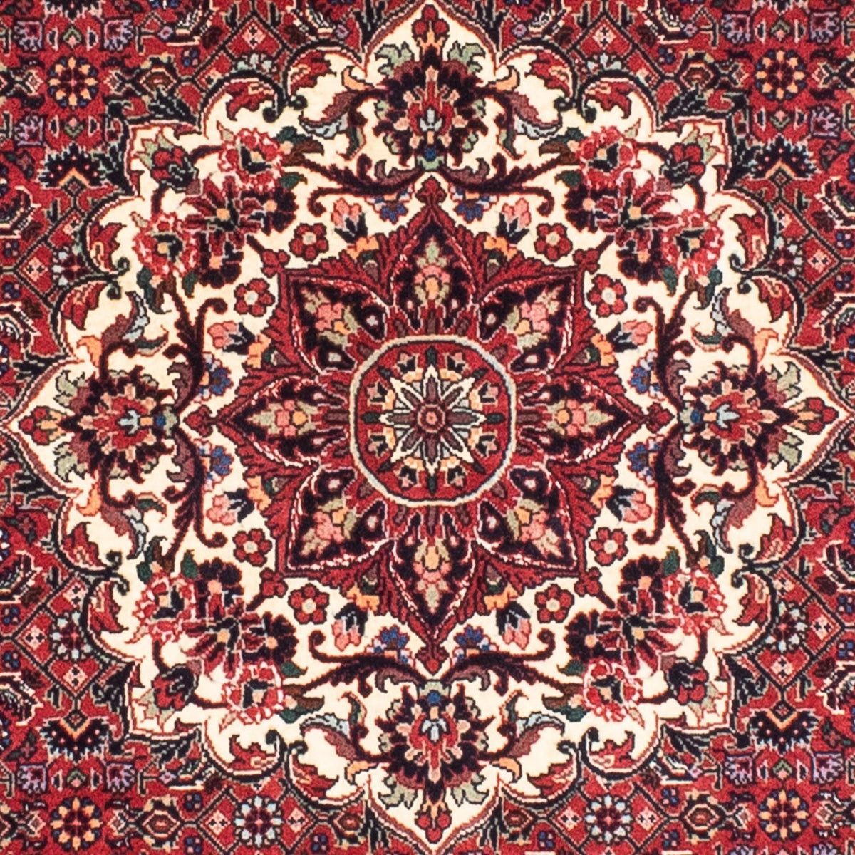 Tapis persan - Bidjar ronde  - 155 x 155 cm - rouge foncé