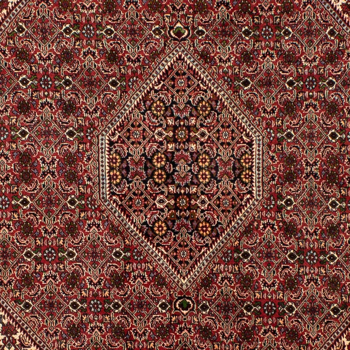 Tapis persan - Bidjar - 251 x 173 cm - rouge foncé