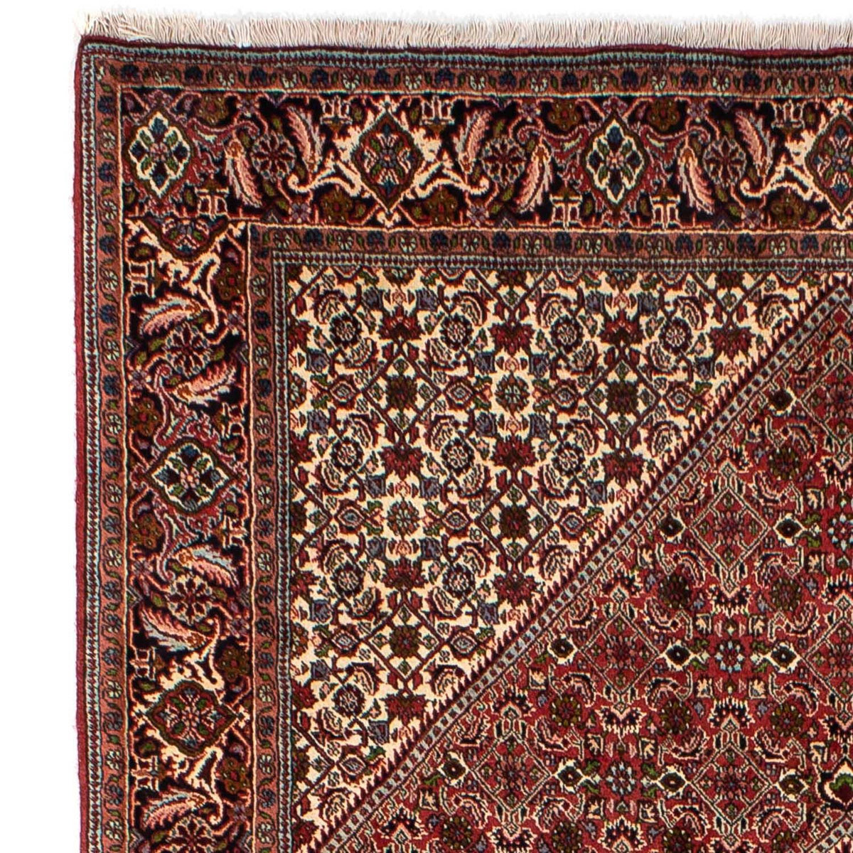 Tapis de Bidjar Tapis 173x251cm - Tapis persan