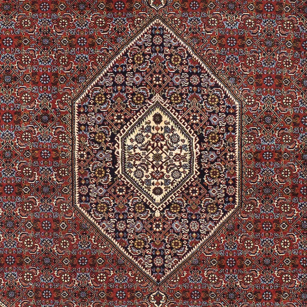 Tapis persan - Bidjar - 205 x 139 cm - rouge foncé