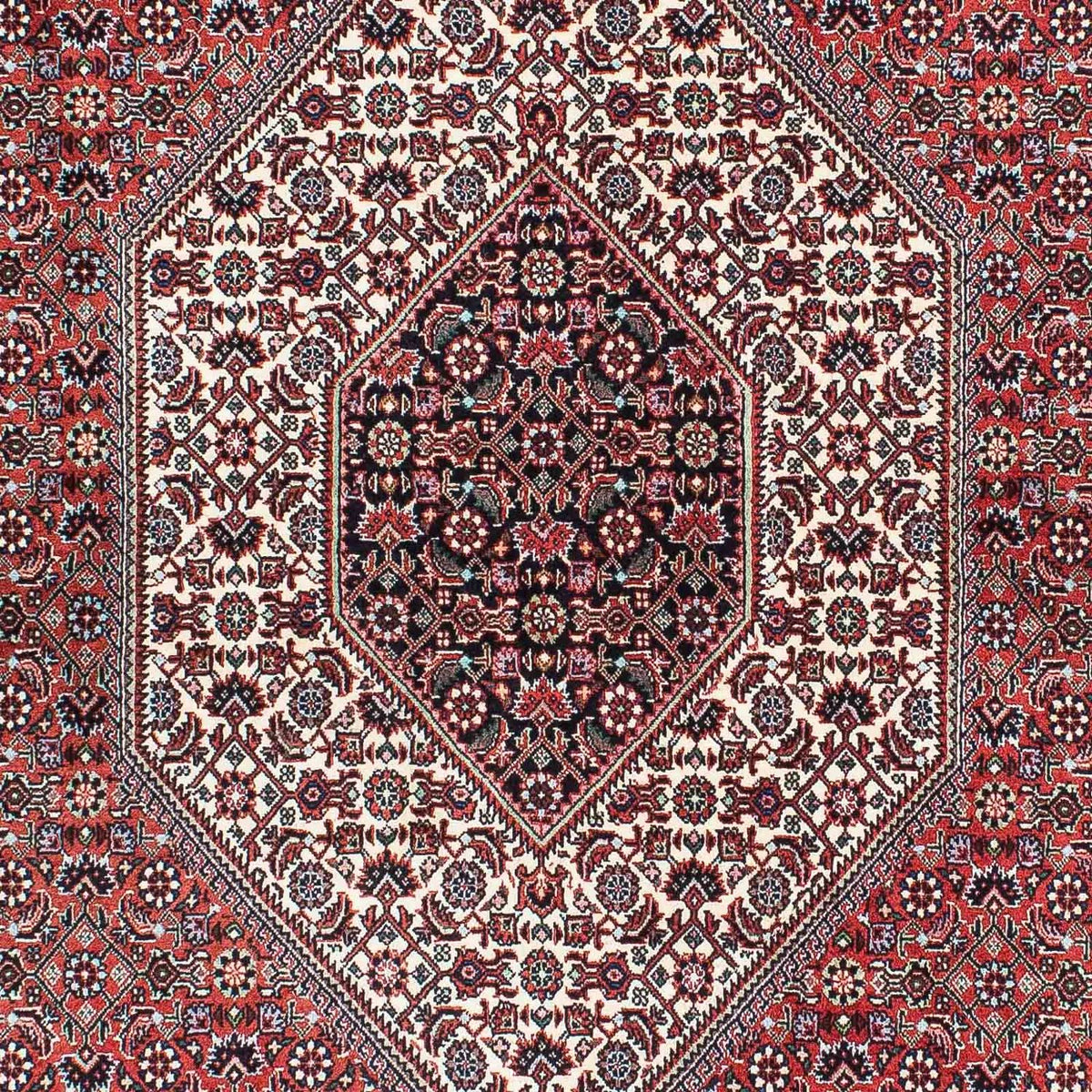 Tapis persan - Bidjar - 214 x 127 cm - rouge clair