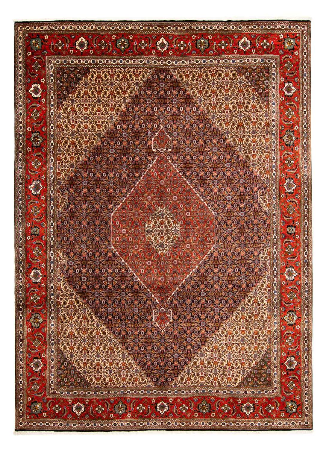 Tapis persan - Tabriz - 415 x 308 cm - multicolore