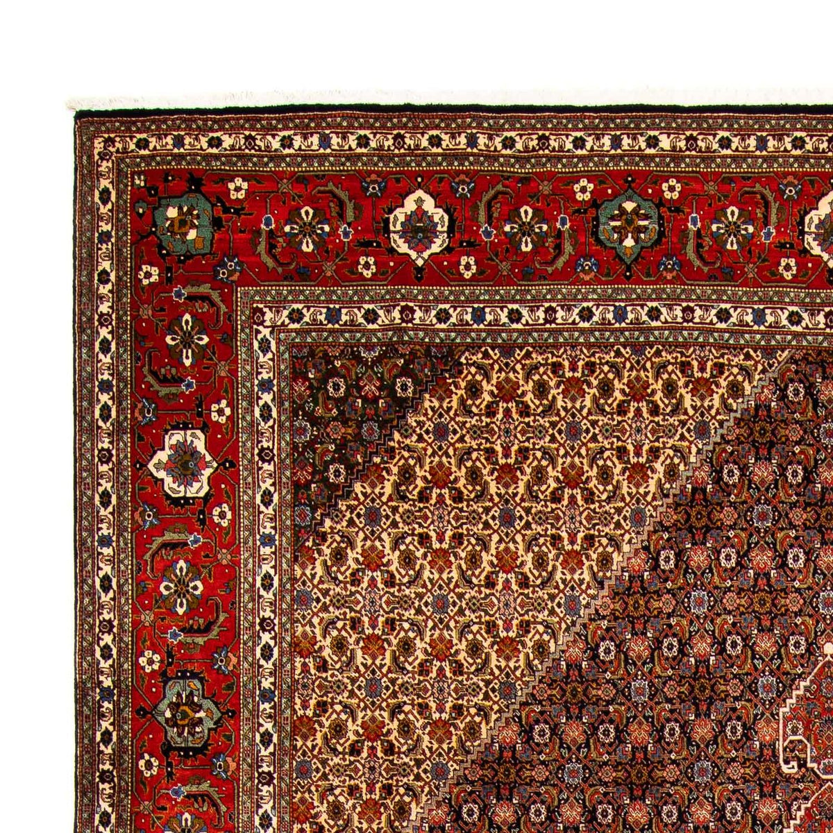 Tapis persan - Tabriz - 415 x 308 cm - multicolore