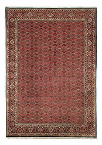 Tapis persan - Bidjar - 300 x 206 cm - rouge clair