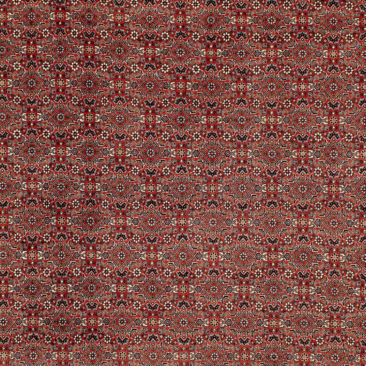 Tapis persan - Bidjar - 300 x 206 cm - rouge clair