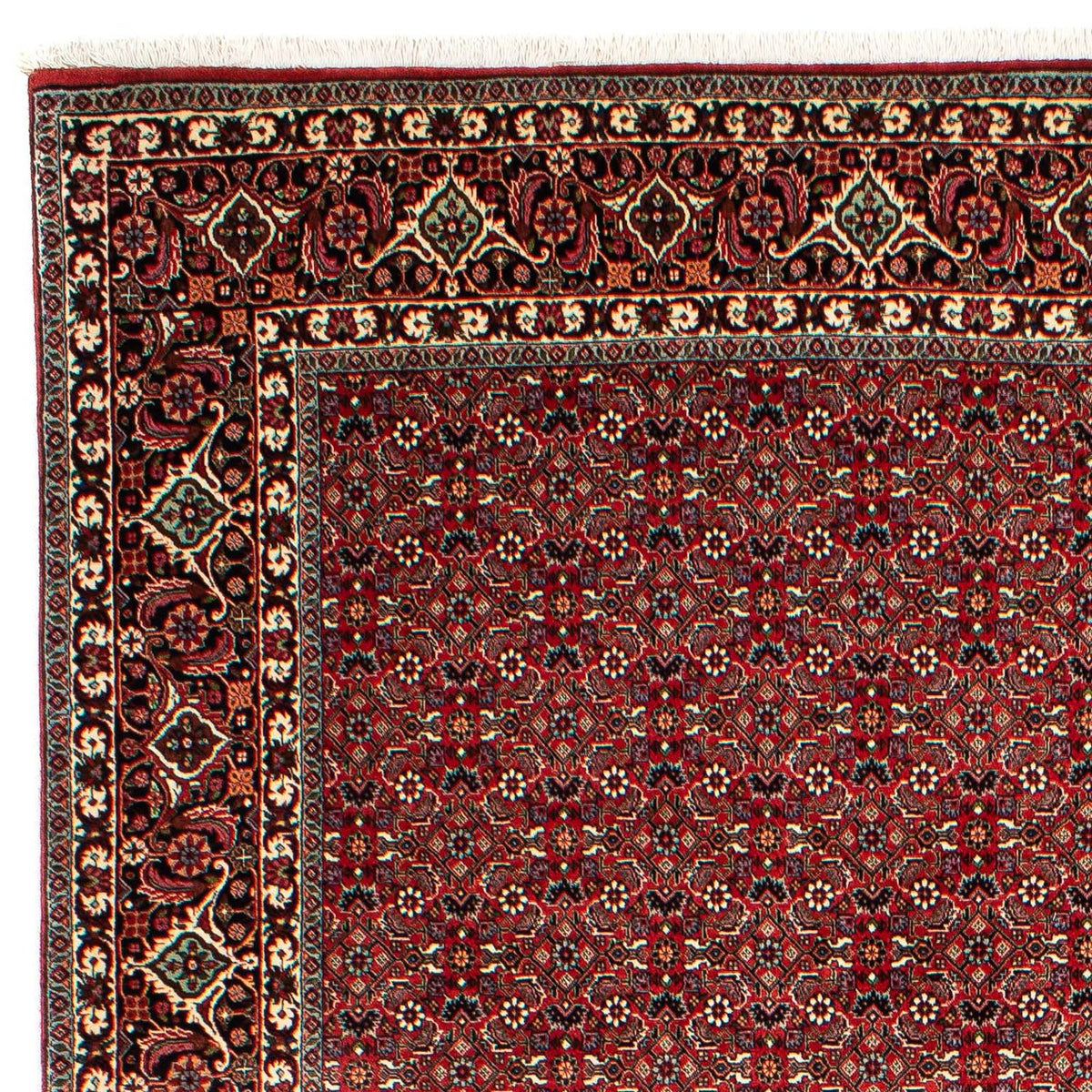Tapis de Bidjar Tapis 210x302cm - Tapis persan