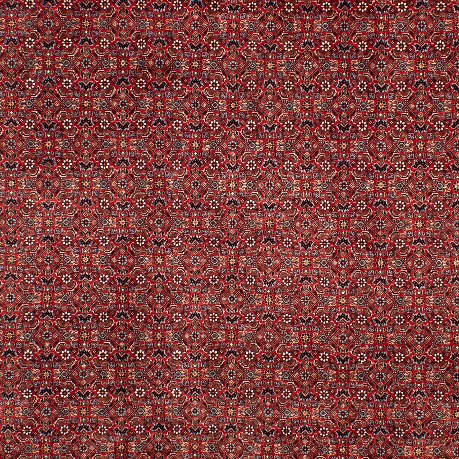 Tapis persan - Bidjar - 298 x 205 cm - rouge foncé