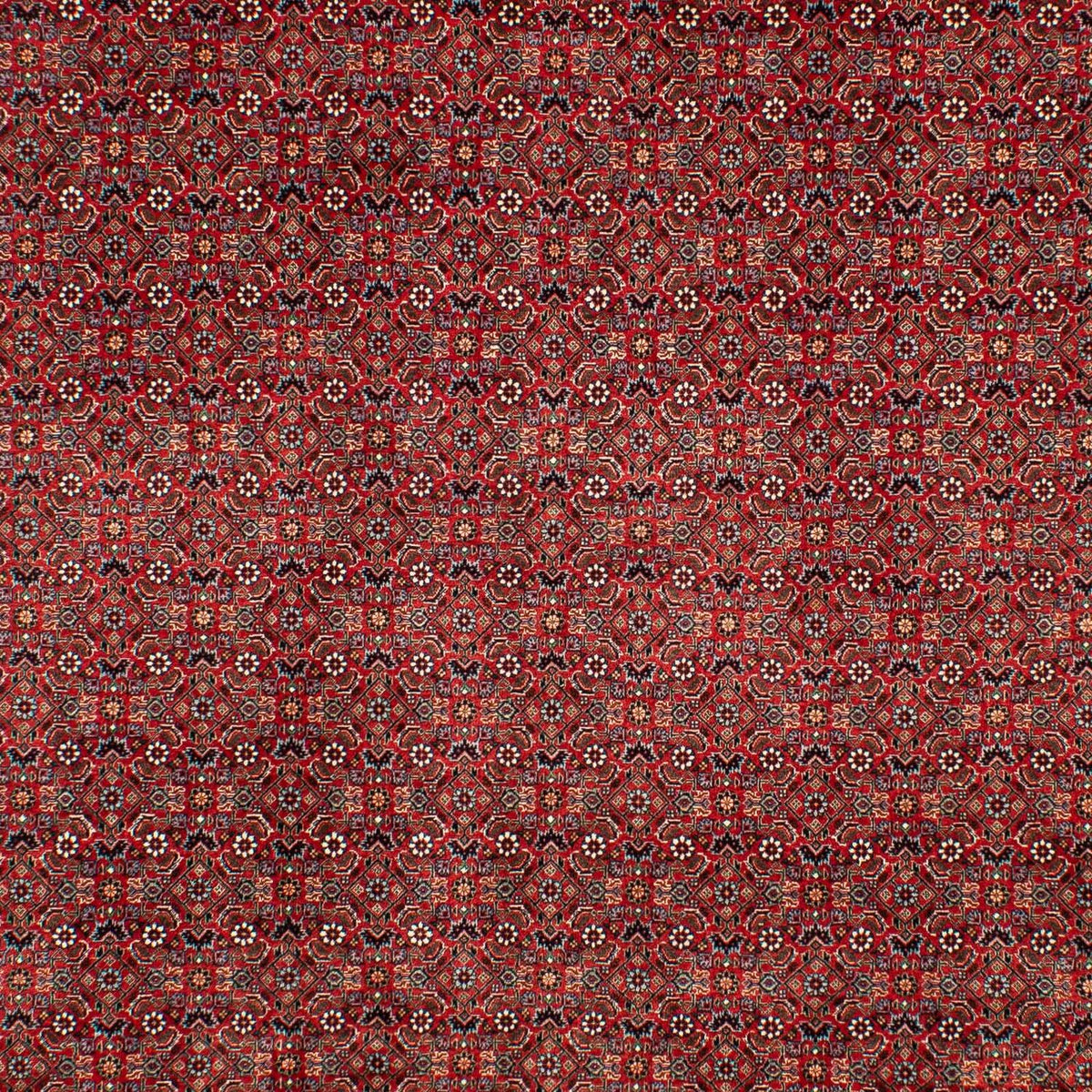 Tapis persan - Bidjar - 298 x 205 cm - rouge foncé