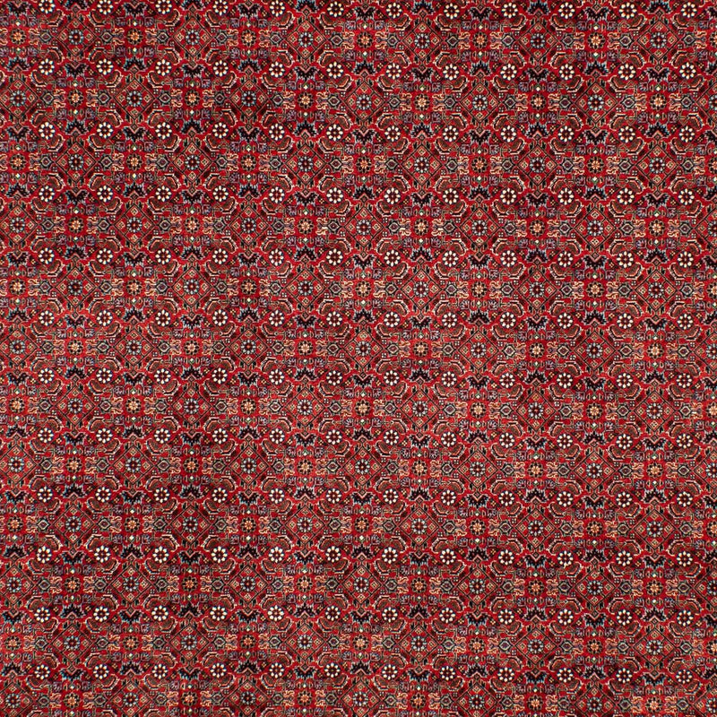 Tapis persan - Bidjar - 298 x 205 cm - rouge foncé