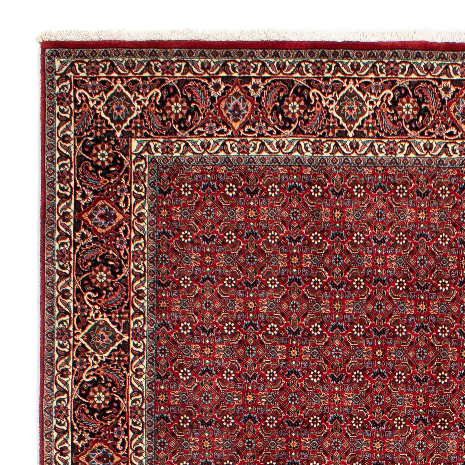 Tapis persan - Bidjar - 298 x 205 cm - rouge foncé