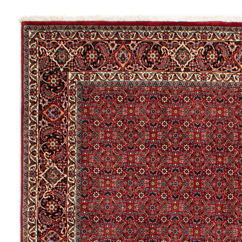 Tapis persan - Bidjar - 298 x 205 cm - rouge foncé