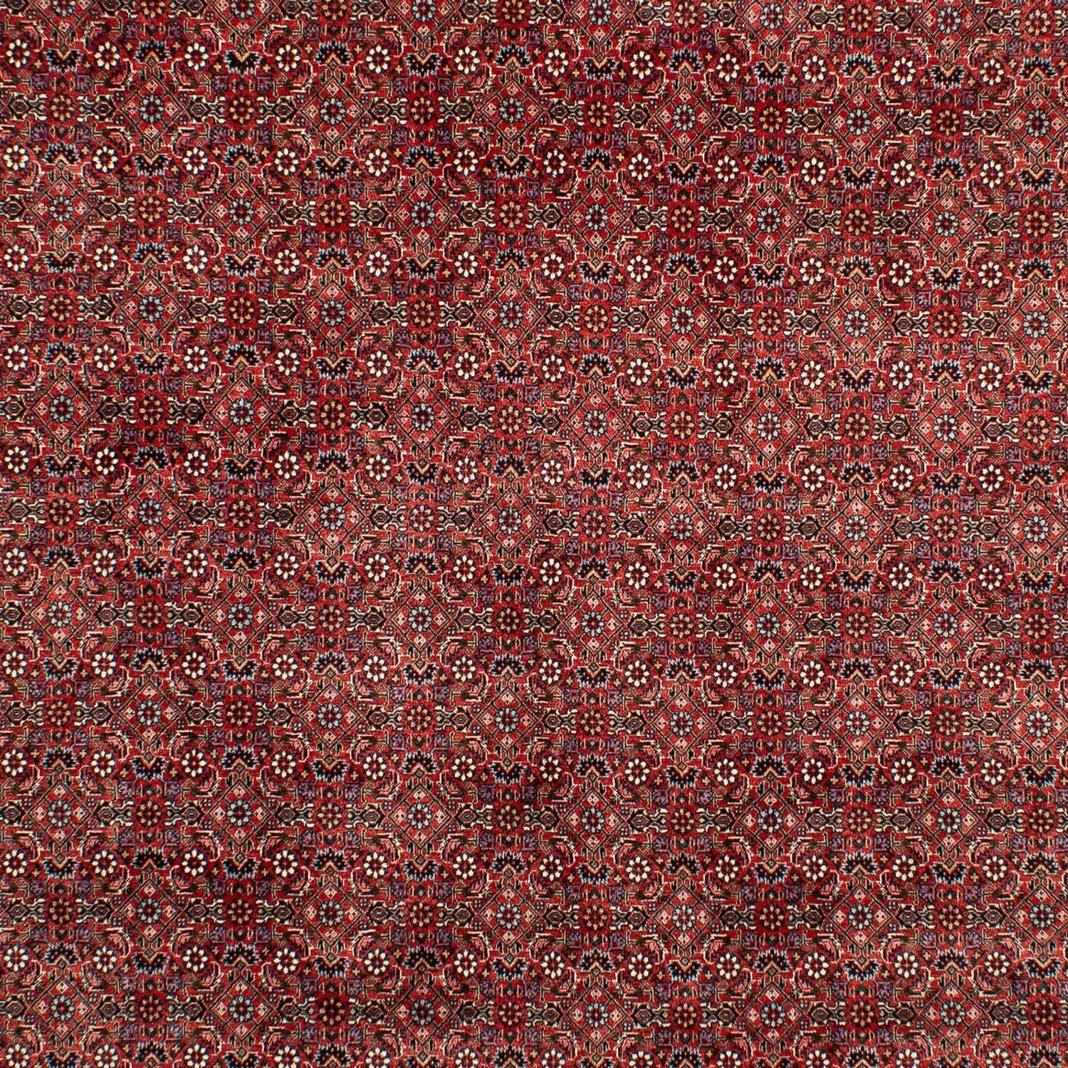 Tapis persan - Bidjar - 299 x 202 cm - rouge foncé
