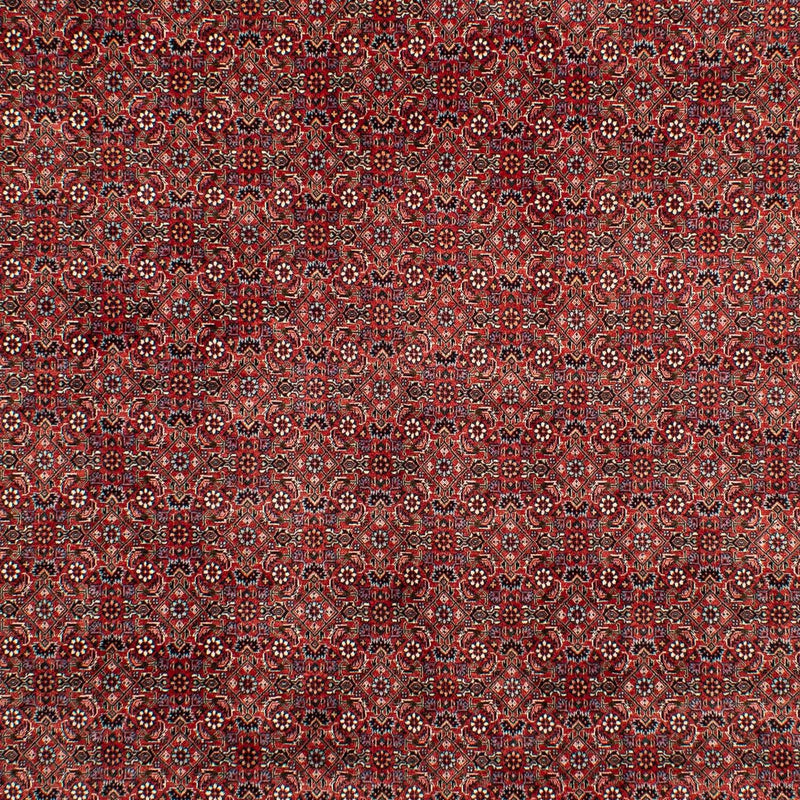 Tapis persan - Bidjar - 299 x 202 cm - rouge foncé