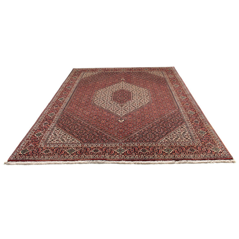 Tapis persan - Bidjar - 293 x 203 cm - rouge clair