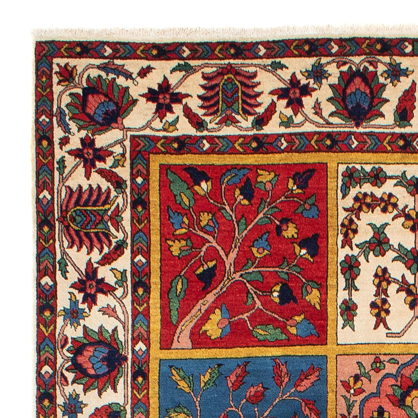 Tapis Bakhtiari Tapis 311x198cm - Tapis persan