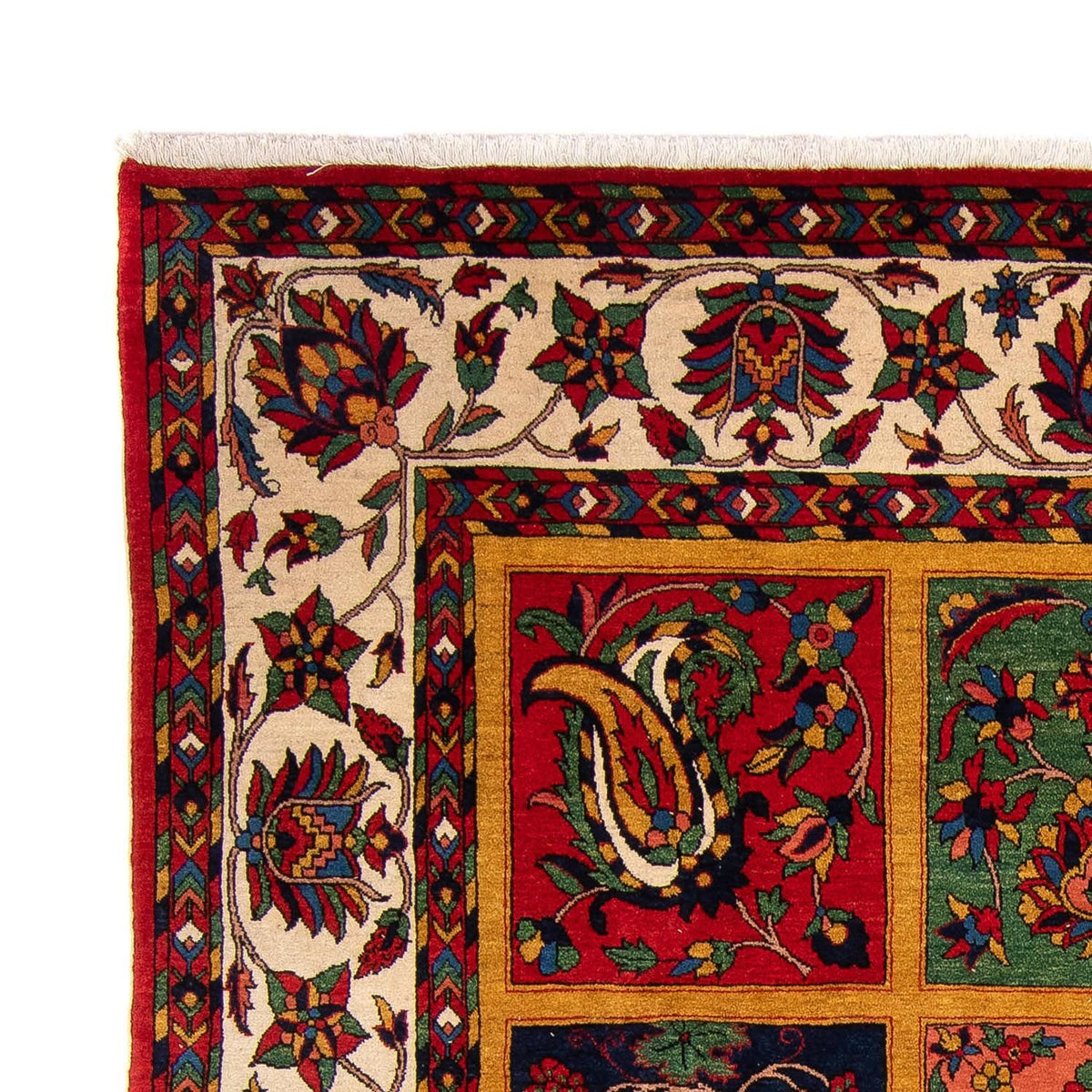 Tapis Bakhtiari Tapis 246x361cm - Tapis persan