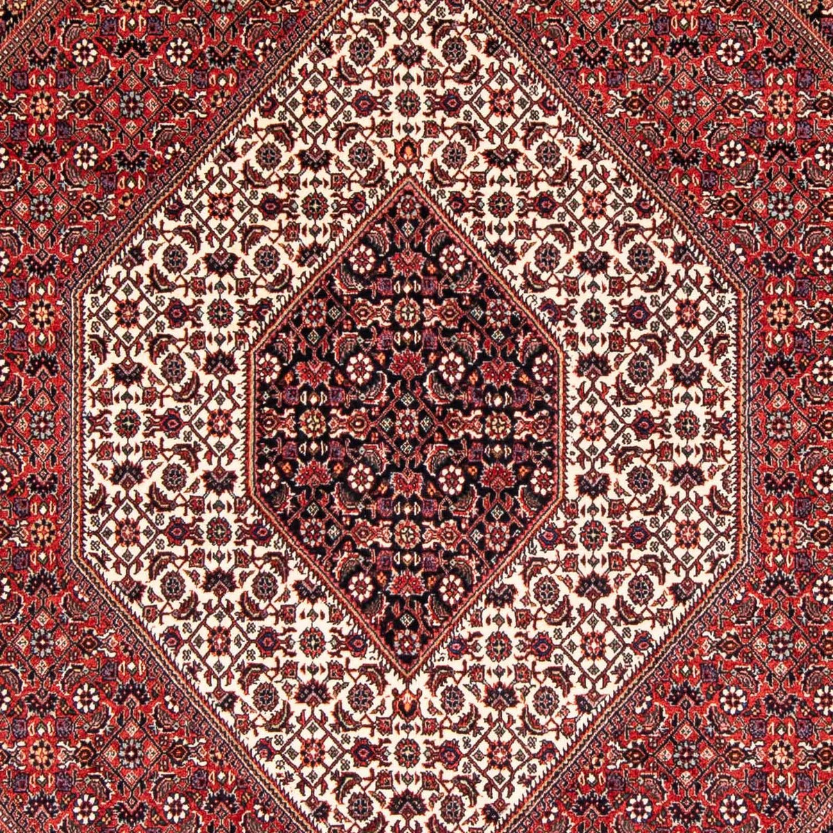 Tapis persan - Bidjar - 236 x 169 cm - rouge foncé