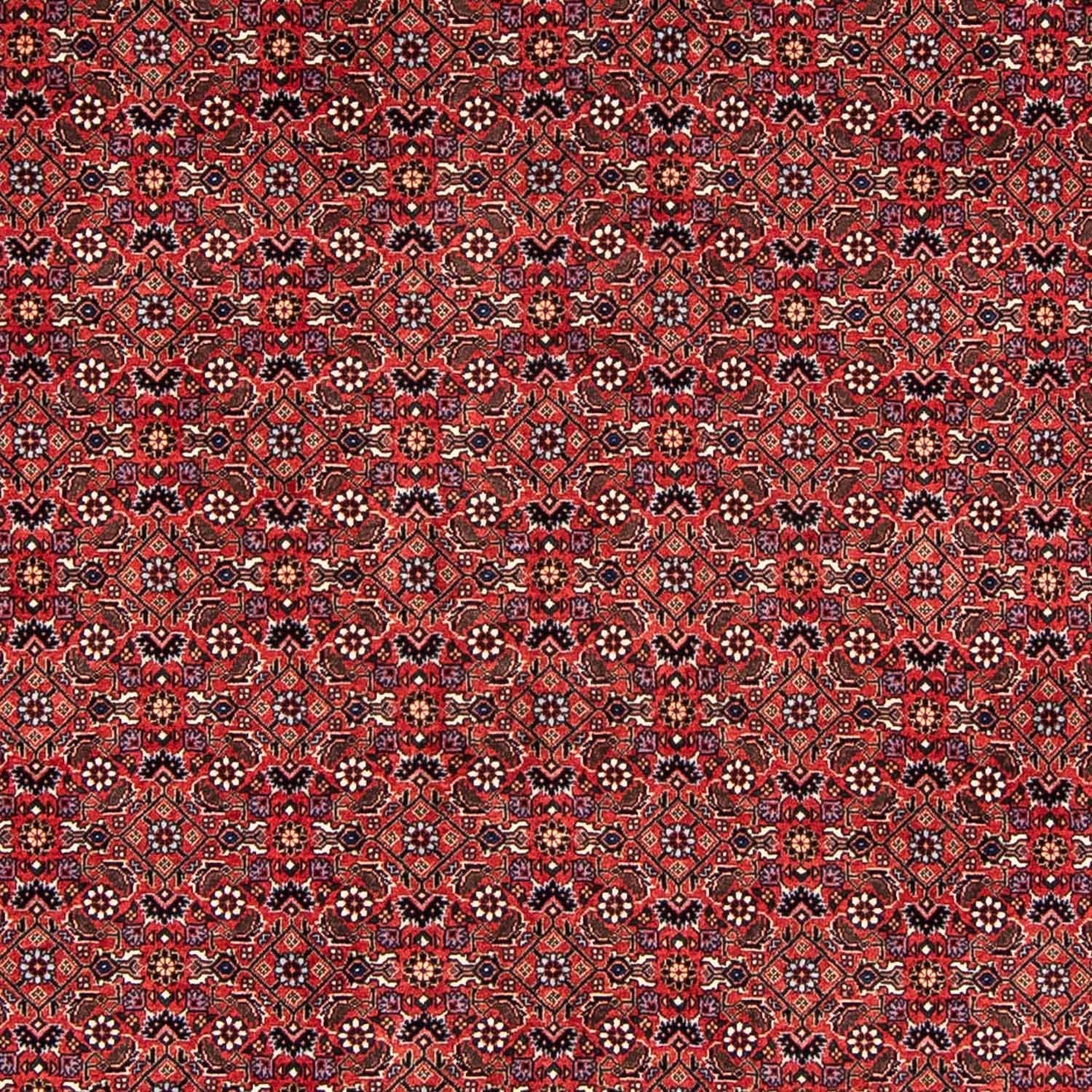 Tapis persan - Bidjar - 243 x 173 cm - rouge foncé