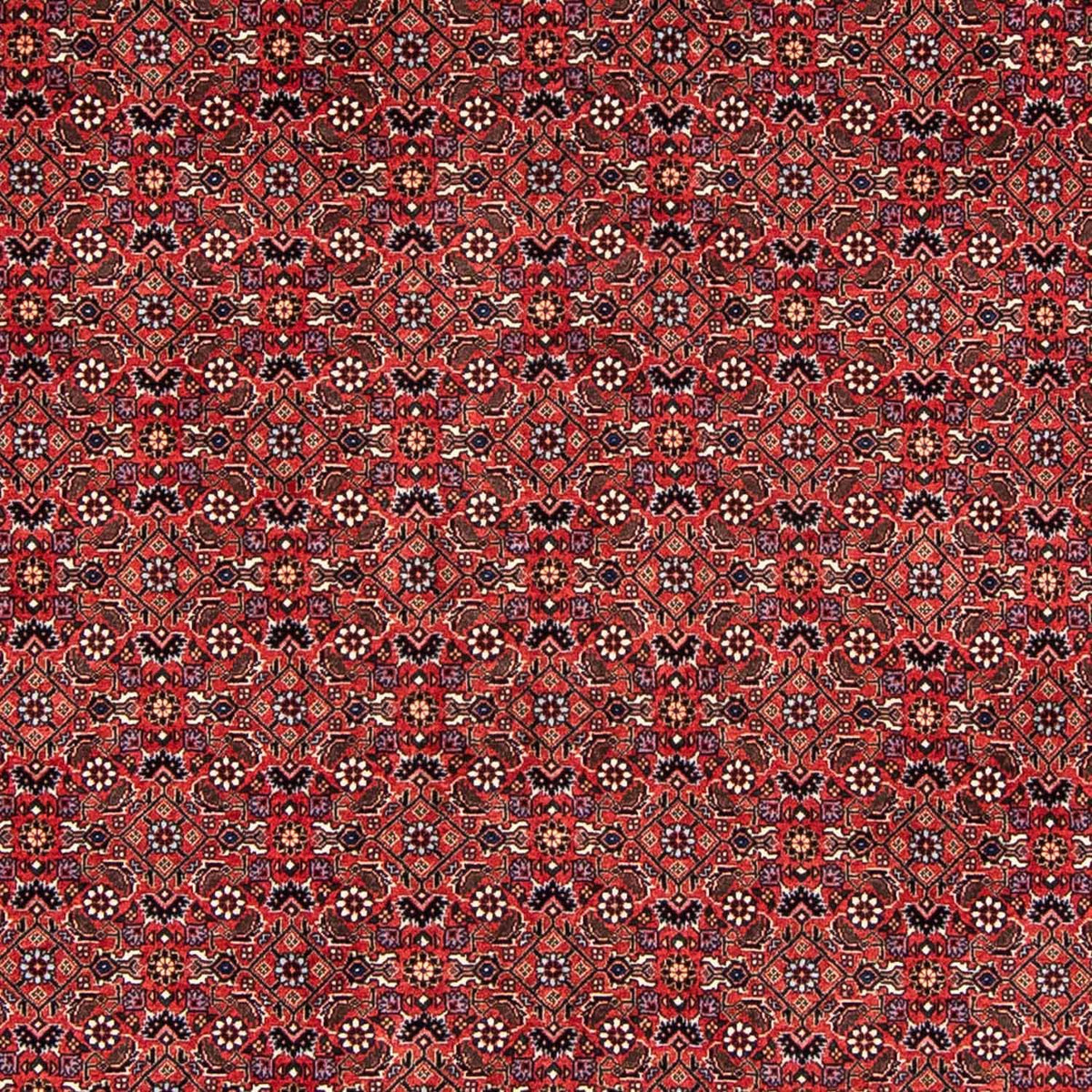 Tapis persan - Bidjar - 243 x 173 cm - rouge foncé